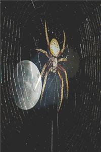 Spider Notebook