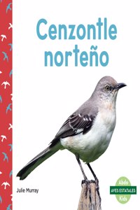 Cenzontle Norteño (Northern Mockingbirds)