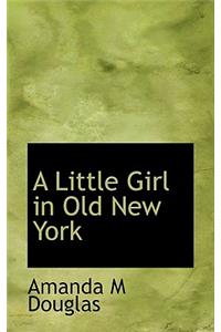 A Little Girl in Old New York