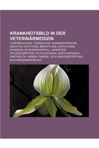 Krankheitsbild in Der Veterinarmedizin