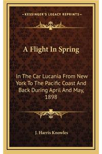 A Flight in Spring
