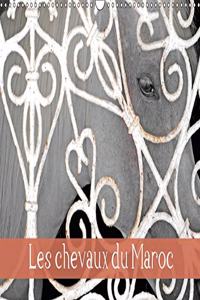 Les Chevaux Du Maroc 2018