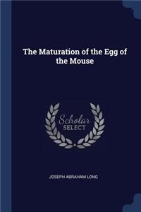The Maturation of the Egg of the Mouse