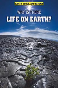Why Is There Life on Earth?