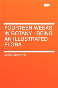 Fourteen Weeks in Botany