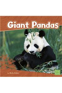 Giant Pandas