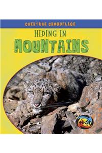 Creature Camouflage Hiding in Mountains