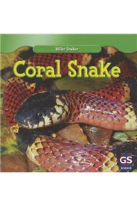 Coral Snake
