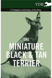 Miniature Black and Tan Terrier - A Complete Anthology of the Dog