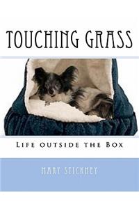 Touching Grass