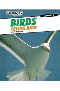 Birds: Flying High
