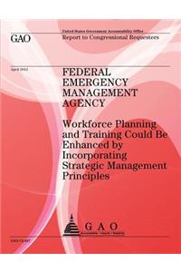 Federal Emergency Management Agency