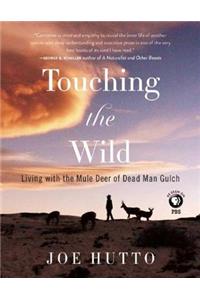 Touching the Wild