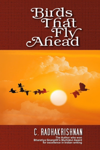 Birds That Fly Ahead