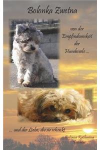 Bolonka Zwetna