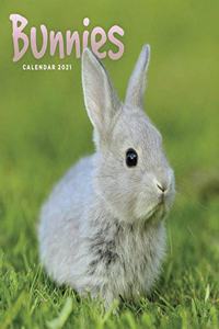 BUNNIES MINI SQUARE WALL CALENDAR 2021