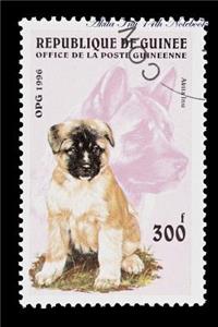 Akita Inu 14th Notebook Record Journal, Diary, Special Memories, To Do List, Academic Notepad, and Much More