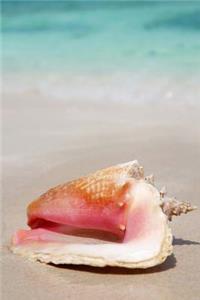 A Lovely Queen Conch Shell on the Beach Journal