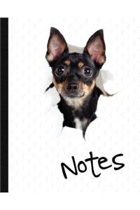 Dog, Notebook, Notes, Journal Jotter
