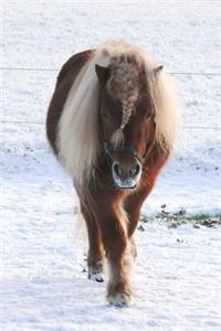 Well Hello There Cute Pony with a Braided Mane in the Snow Journal