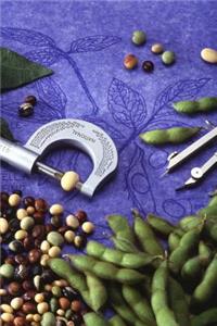Science Theme Journal Soybean Seeds Measurements