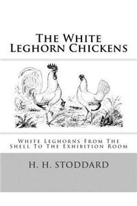 White Leghorn Chickens