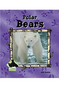Polar Bears