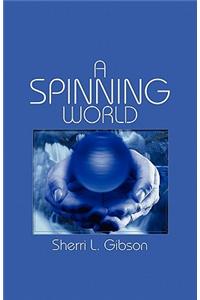 A Spinning World