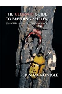 The Ultimate Guide to Breeding Beetles