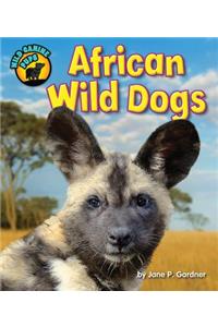 African Wild Dogs