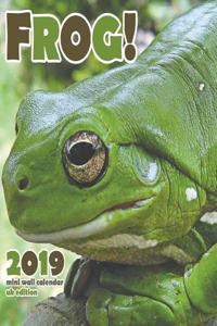 The Frog 2019 Calendar (UK Edition)