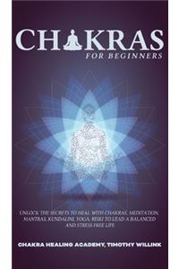 Chakras for Beginners