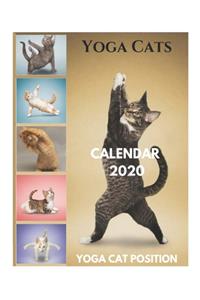 Yoga Cats Calendar 2020 - Yoga Cat Position
