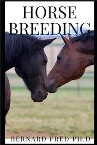 Horse Breeding