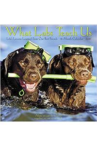 What Labs Teach Us 2018 Calendar: Lifes Lessons from Our Best Friends