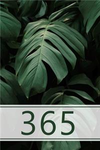 365