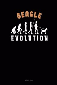 Beagle Evolution