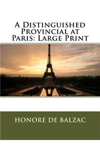 A Distinguished Provincial at Paris