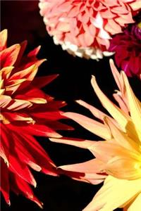 2019 Weekly Planner Flowers Pretty Zinnias 134 Pages