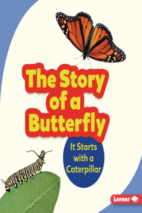 The Story of a Butterfly