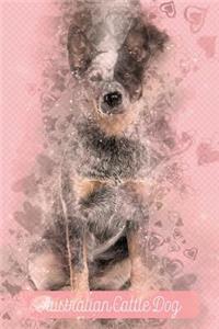 Australian Cattle Dog