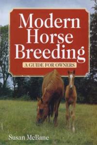 Modern Horse Breeding