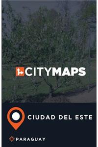 City Maps Ciudad del Este Paraguay