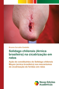 Solidago chilensis (Arnica brasileira) na cicatrização em ratos