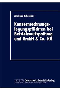 Konzernrechnungslegungspflichten Bei Betriebsaufspaltung Und Gmbh & Co. Kg