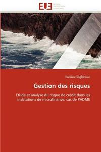 Gestion Des Risques