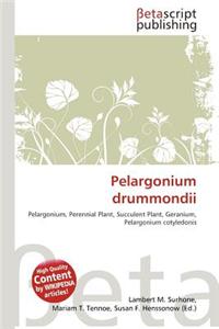 Pelargonium Drummondii