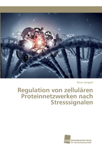 Regulation von zellulären Proteinnetzwerken nach Stresssignalen