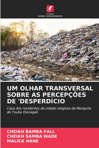 Um Olhar Transversal Sobre as Percepções de 'Desperdício