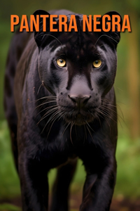 Pantera negra